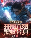 吞噬星空:开局六翅黑蚊分身