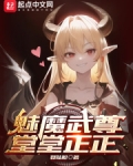 魅魔武尊,堂堂正正