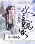 欢喜冤家：相公太傲娇