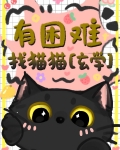 有困难，找猫猫[玄学]
