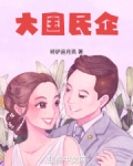 大国民企