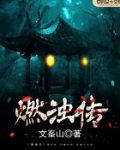 燃浊传