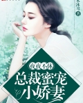 夜夜不休：总裁蜜宠小娇妻