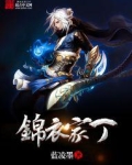 锦衣家丁