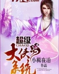 超级大侠系统