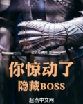 你惊动了隐藏BOSS