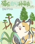 猫在西幻种灵植［基建］