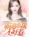 宠妻狂魔：霸道总裁不好惹