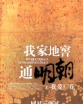 我家地窖通明朝