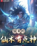 偷来的仙术有点神小说正版