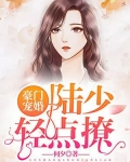 豪门宠婚：陆少轻点撩