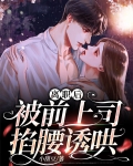 离职后,被前上司掐腰诱哄
