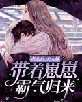 虐恋后,夫人她带着崽崽霸气归来