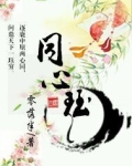 同心珏