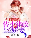 步步惊婚，佐少的律政娇妻