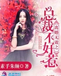 离婚无效之总裁不好惹