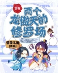 两个龙傲天的修罗场