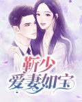 靳少爱妻如宝