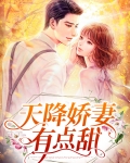 天降娇妻有点甜