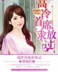高冷首席求放过