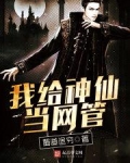 我给神仙当网管