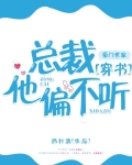总裁他偏不听