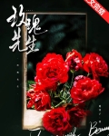 玫瑰先生