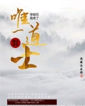 穿越魔法世界:我成了唯一道士
