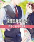 深情总裁追妻记有多少爱可以重来