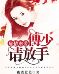 危情虐爱：傅少请放手