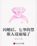 闪婚蜜爱,七爷的心尖宠全文免费读