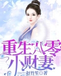 重生八零小财妻