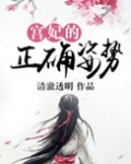 宫妃的正确姿势