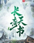 长青天书