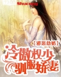 邪恶劫婚：冷傲权少驯服娇蛮妻