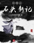 红楼之石头新记