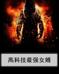 高科技最强女婿