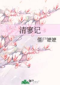 清寥记