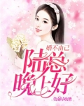 婚不由己：陆总晚上好！