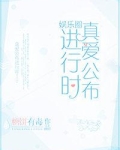 真爱公布进行时