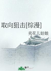 取向狙击[综漫]