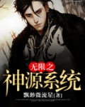 无限之神源系统