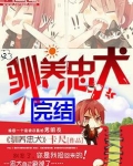 驯养忠犬