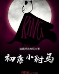 初唐小驸马