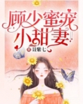顾少蜜宠小甜妻