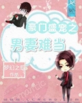 豪门盛宠之男妻难当
