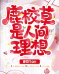 鹿校草是人间理想免费阅读