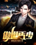 傲世丐少