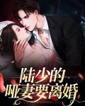 陆少的哑妻要离婚