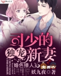 司少的独宠新妻